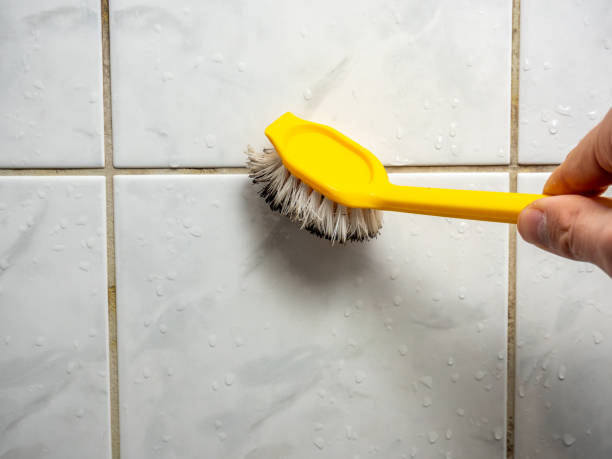 Best Affordable Mold Removal  in Elk Grove, CA