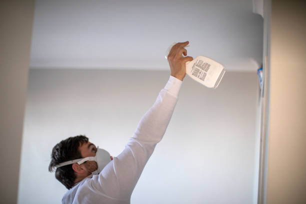 Crawl Space Mold Removal in Elk Grove, CA