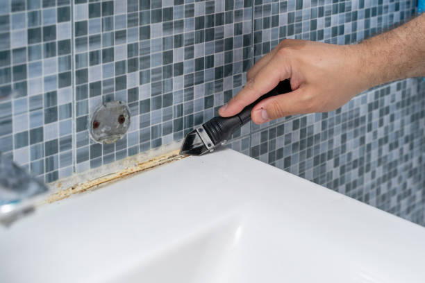 Best Toxic Mold Removal  in Elk Grove, CA
