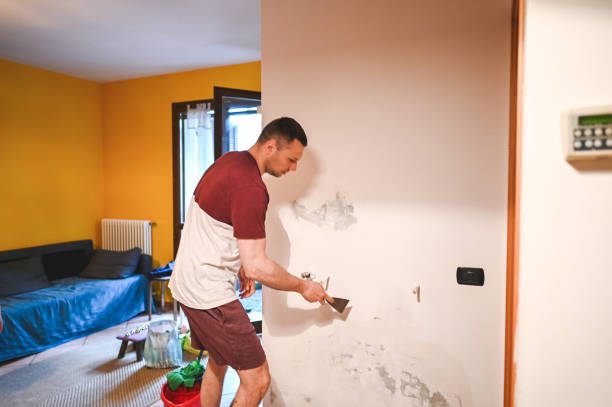 Best Home Mold Removal  in Elk Grove, CA